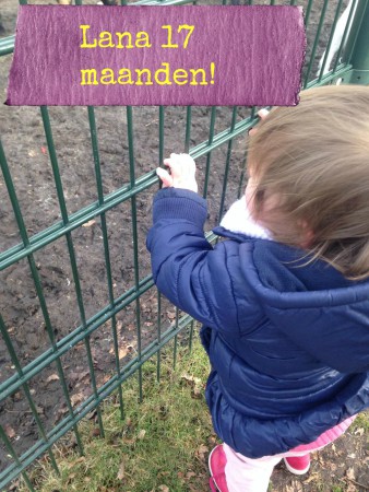 lana17maanden