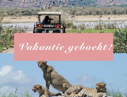 Op safari, zanzibar, tanzania, safari vakantie, safari met kinderen
